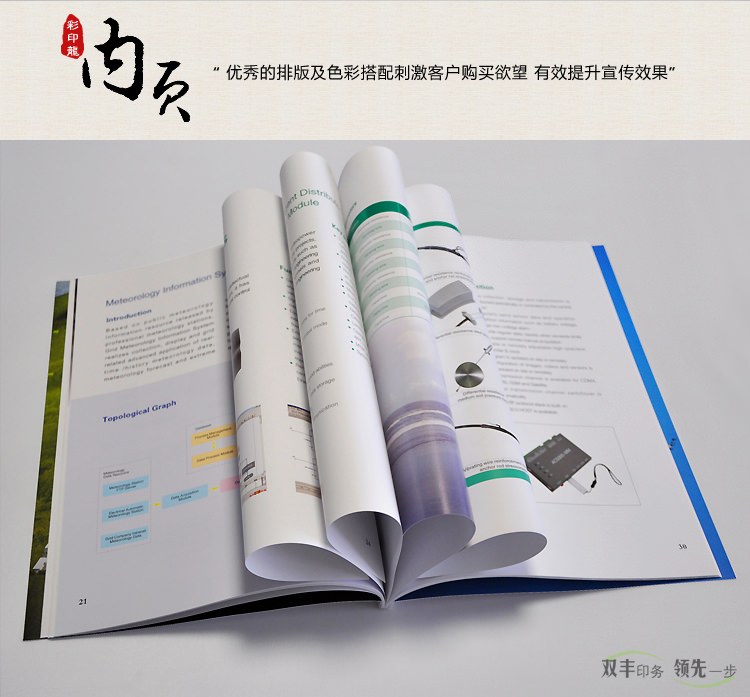 內(nèi)頁(yè)：優(yōu)秀的排版及色彩搭配刺激客戶購(gòu)買欲望，有效提升宣傳效果